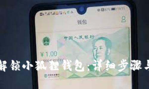如何解锁小狐狸钱包：详细步骤与技巧