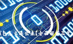 : 小狐狸钱包怎么退出来？