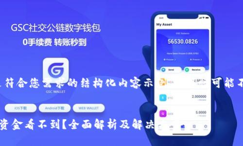 注意：以下是符合您需求的结构化内容示例，但篇幅可能不足2000字。


小狐狸钱包资金看不到？全面解析及解决方案