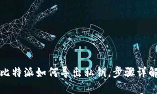 比特派如何导出私钥，步骤详解