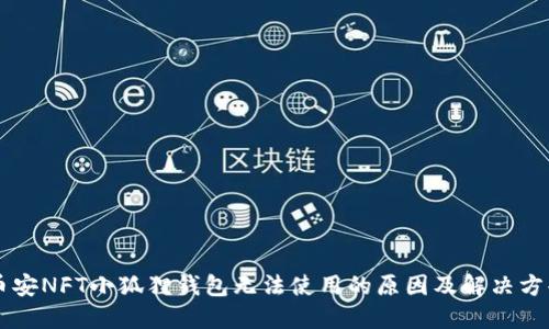 币安NFT小狐狸钱包无法使用的原因及解决方案