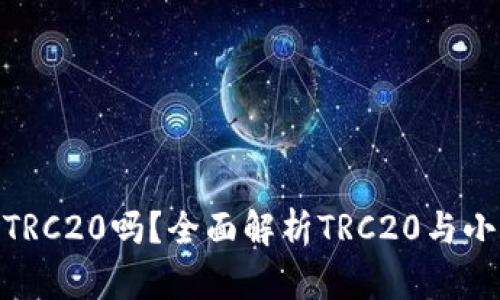 : 小狐狸钱包支持TRC20吗？全面解析TRC20与小狐狸钱包的兼容性