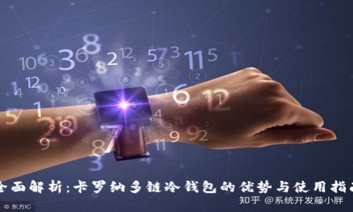 全面解析：卡罗纳多链冷钱包的优势与使用指南