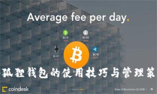 小狐狸钱包的使用技巧与管理策略