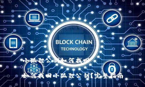 小狐狸公钥如何找回

如何找回小狐狸公钥？完整指南